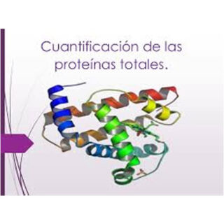 Proteínas Totales