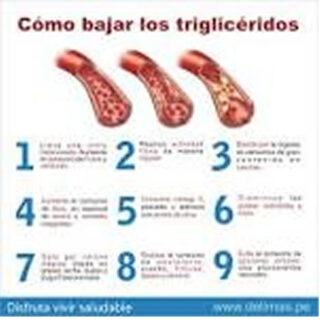 Triglicéridos